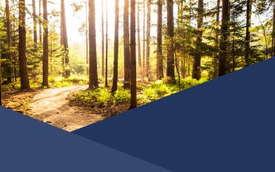 AMBIENTE E TERRITORIO : Un paese bello da vivere